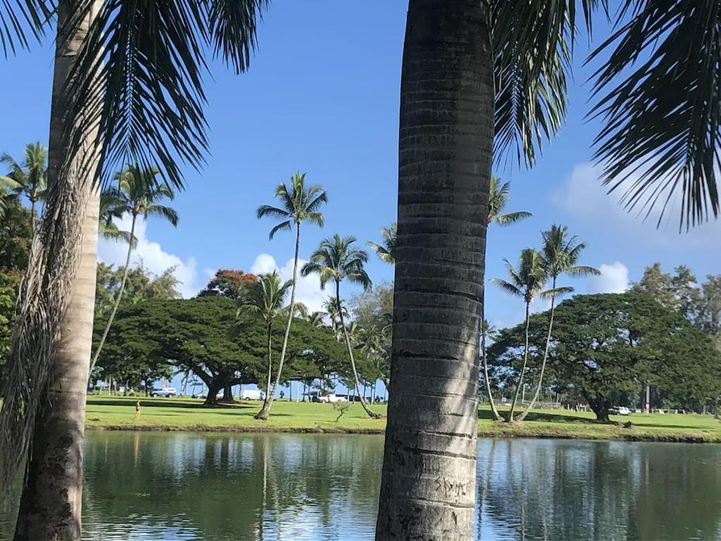 Stunning Views Best Location In Hilo 2Br Modern Condo Zewnętrze zdjęcie