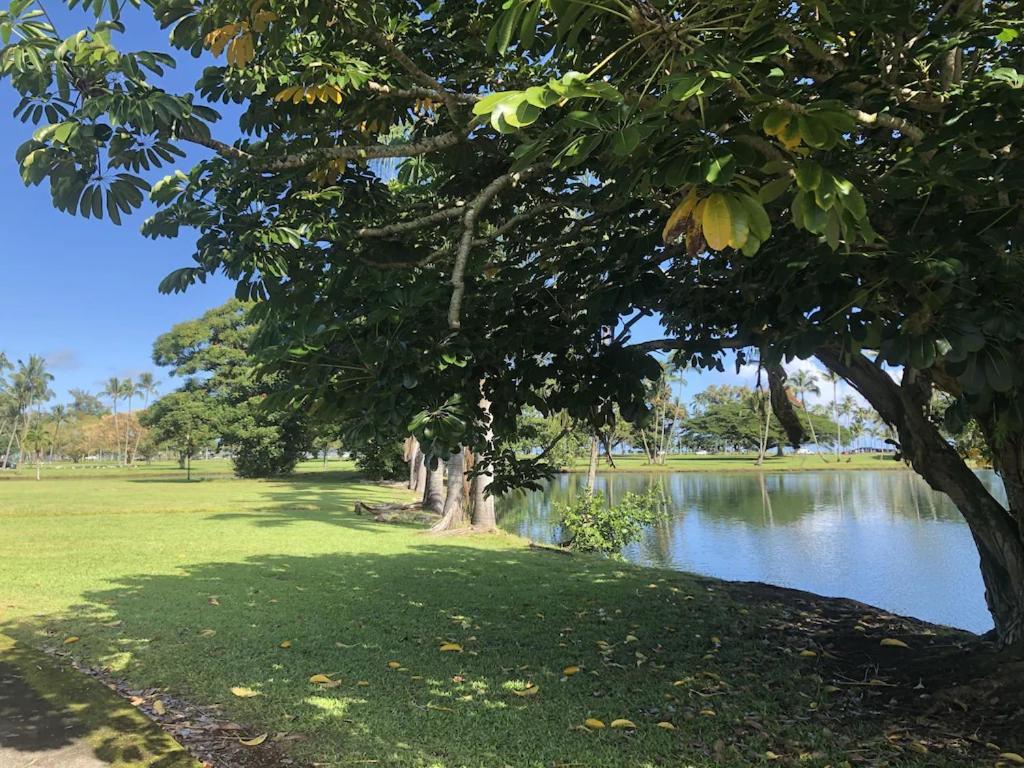 Stunning Views Best Location In Hilo 2Br Modern Condo Zewnętrze zdjęcie